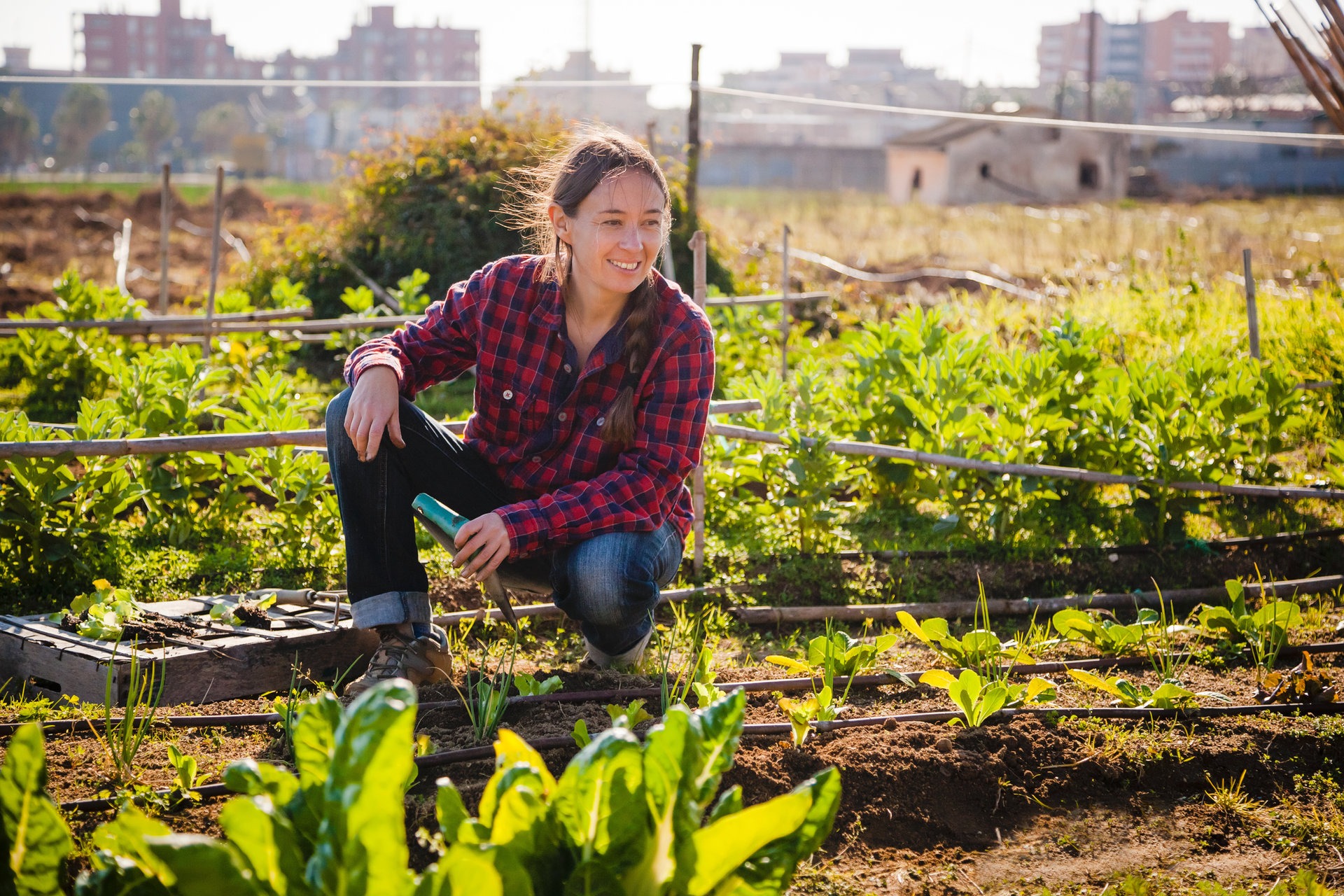 Woman tending plants in an urban garden